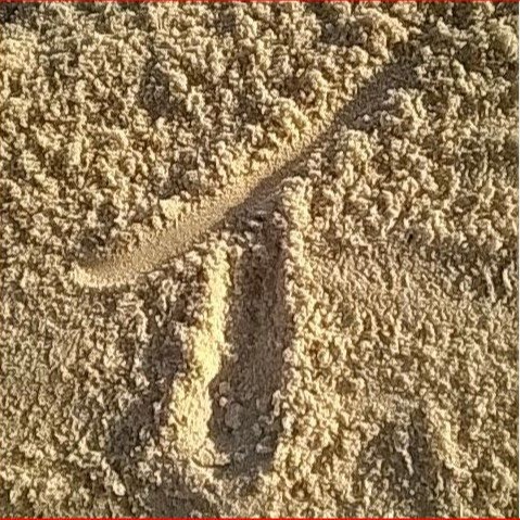 Logo THClaudioLourenco