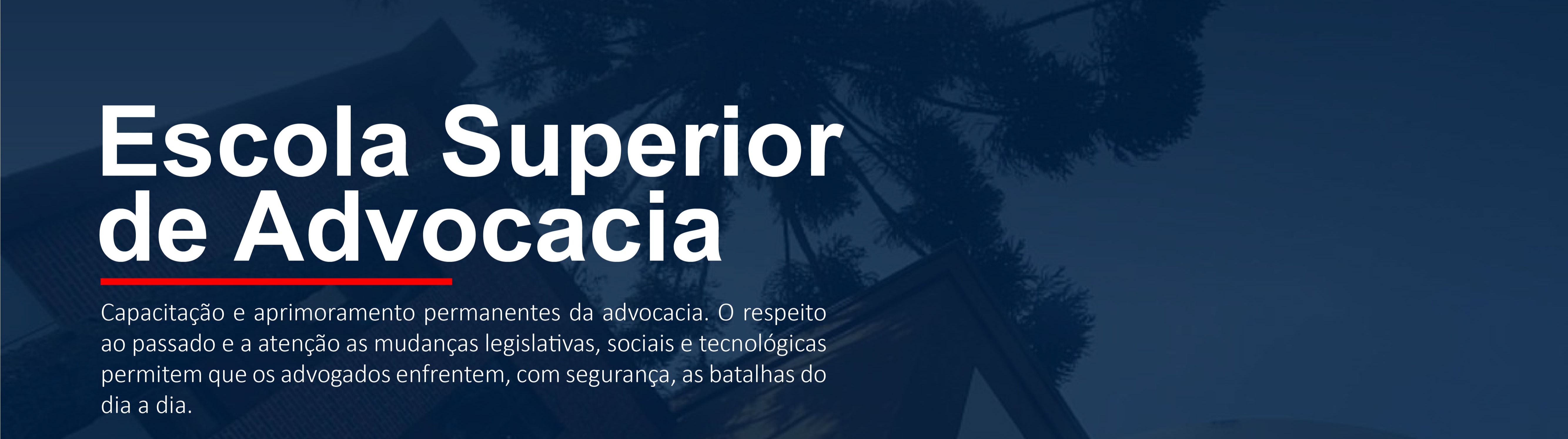 Banner da empresa