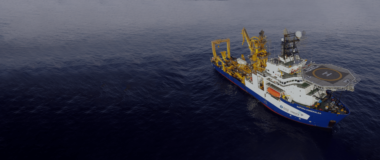 Gerenciamento de Projetos Navais e Offshore