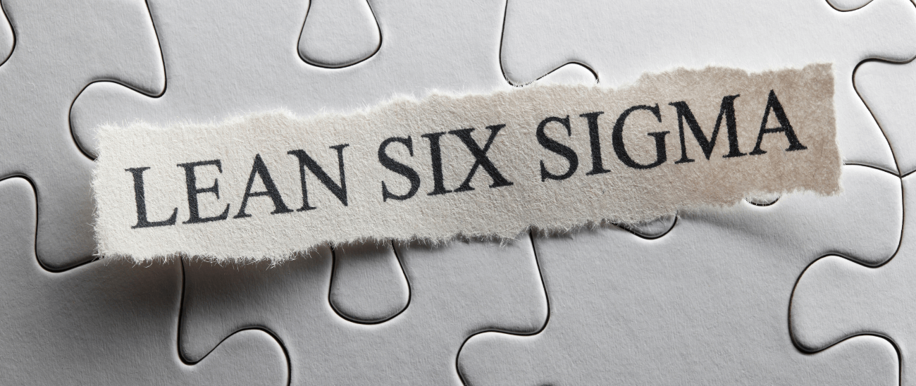 A Norma ISO 18404: Habilidades e Competências para Implantação do Lean 6 Sigma