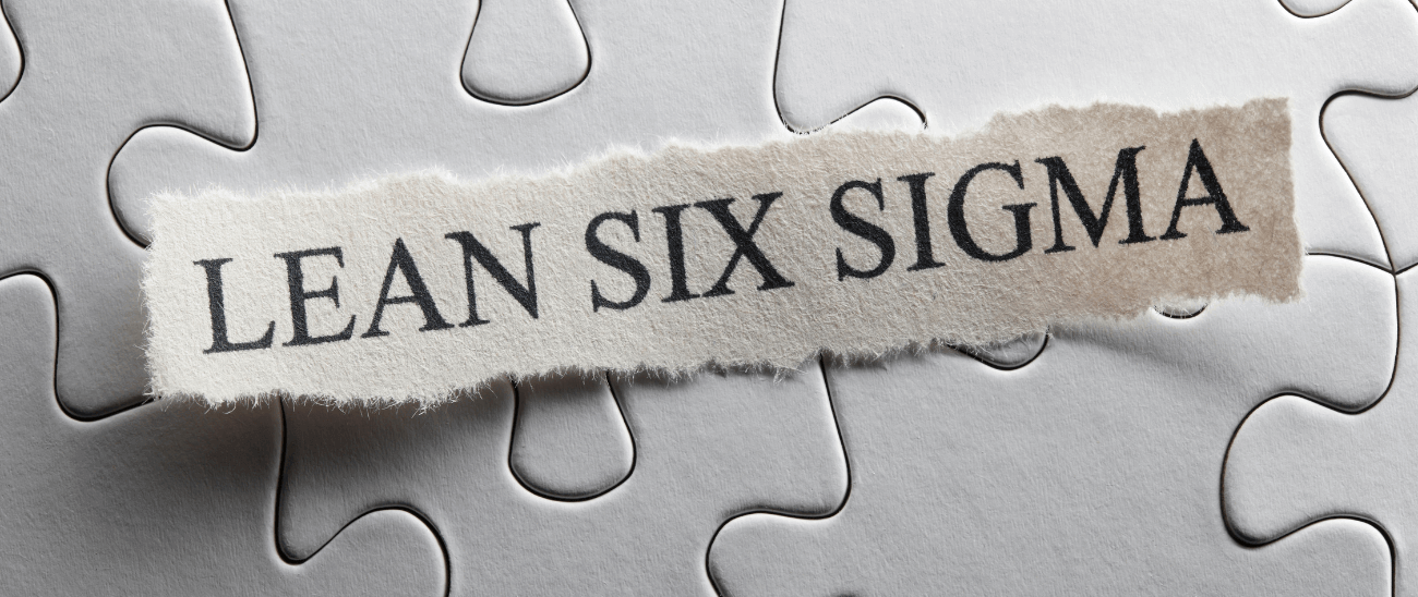 A Norma ISO 18404: Habilidades e Competências para Implantação do Lean 6 Sigma