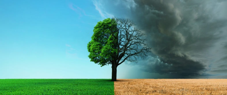 Mudanças Climáticas e seus Impactos