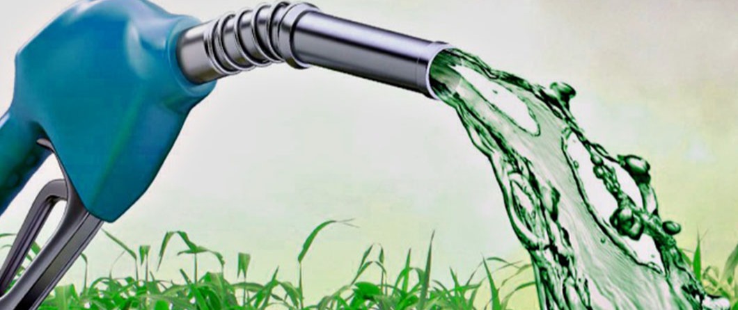 A Importância dos Biocombustíveis no Processo de Descarbonização