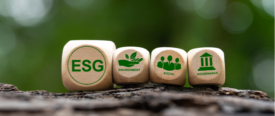 Ergonomia e Sustentabilidade Organizacional (ESG)