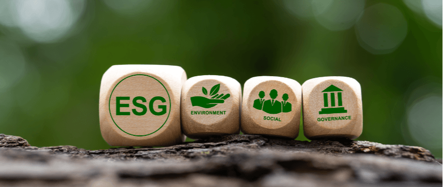 Ergonomia e Sustentabilidade Organizacional (ESG)