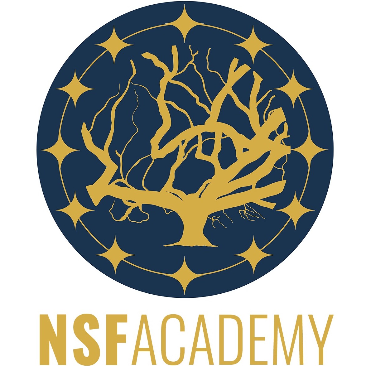 Logo NSF Academy