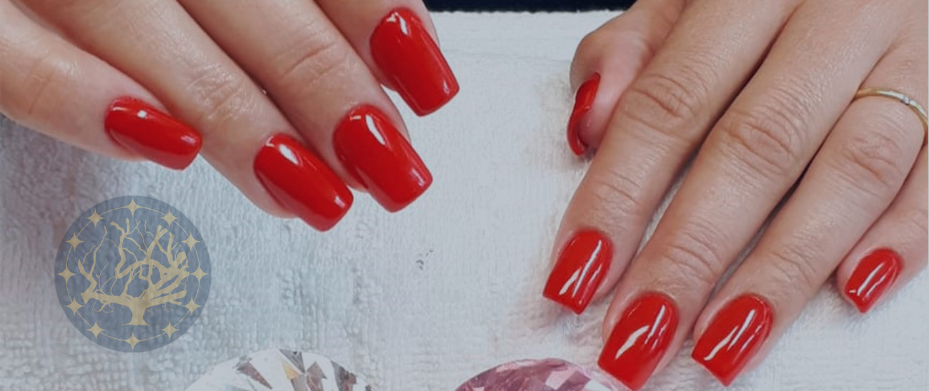 SEM SEGREDOS - Curso alongamento de unhas em acrílico moldado com Michele Takata