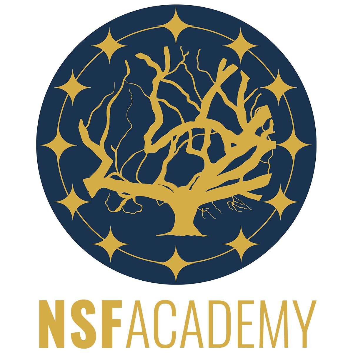 Nsf Treinamentos / Nsf Academy