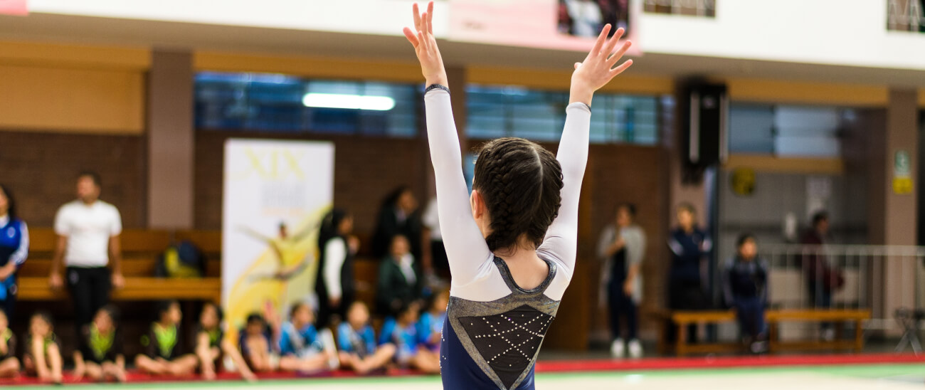 ELABORAÇÃO DE FESTIVAL DE GINÁSTICA ESCOLAR