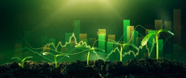 CONTABILIDADE E GESTÃO DE ATIVOS BIOLÓGICOS