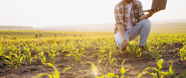 CONTABILIDADE ESTRATÉGICA NO AGRONEGÓCIO: ATIVOS BIOLÓGICOS
