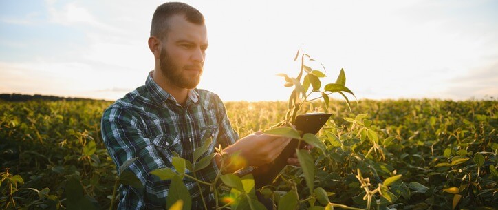 RELATÓRIOS FINANCEIROS ESSENCIAIS PARA O AGRONEGÓCIO