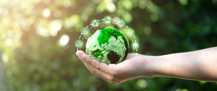 PERSPECTIVAS DA SUSTENTABILIDADE EMPRESARIAL