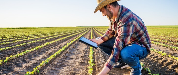 PLANIFICAÇÃO CONTÁBIL RURAL