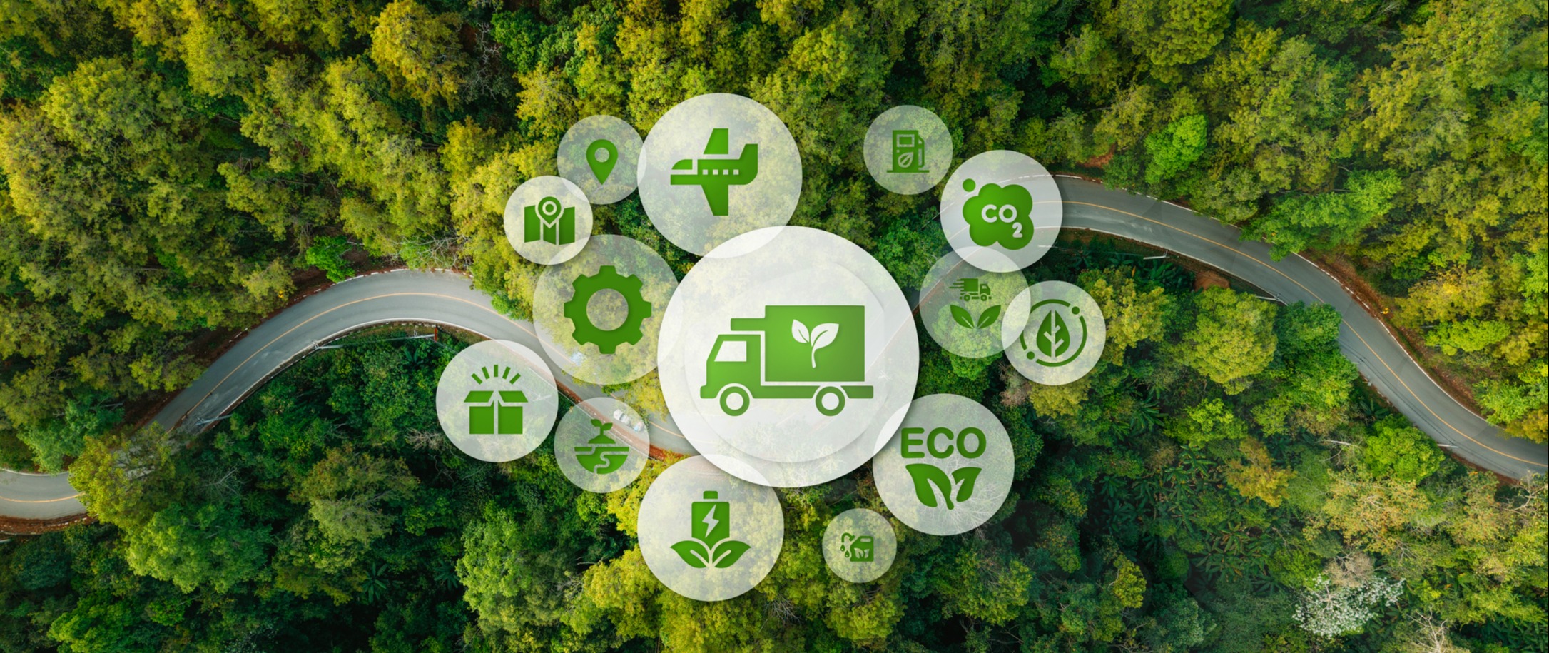 LOGÍSTICA REVERSA E SUSTENTABILIDADE