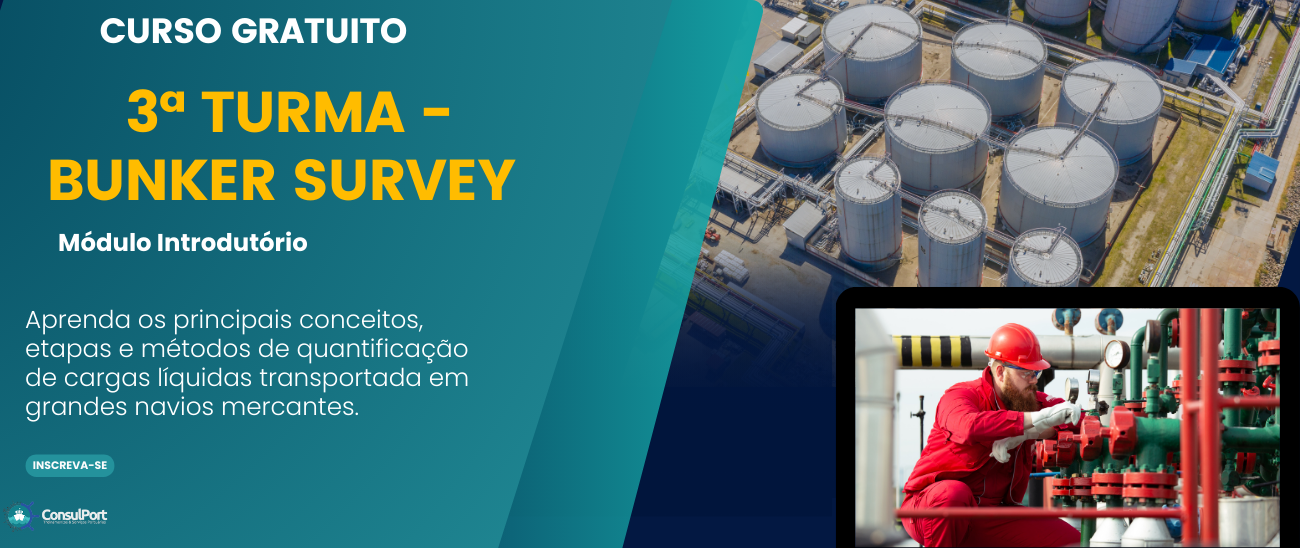 Bunker Survey - Módulo Básico