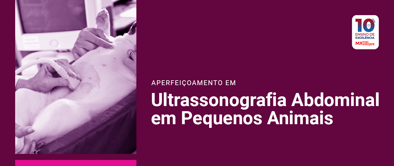 APERFEIÇOAMENTO EM ULTRASSONOGRAFIA EM PEQUENOS ANIMAIS